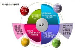 网络营销方案指南 互联网信息服务的道与术